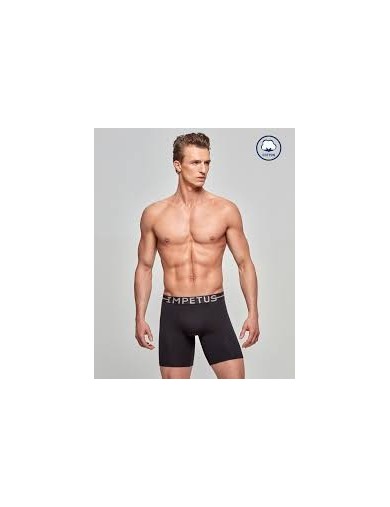 Boxer Longo Impetus